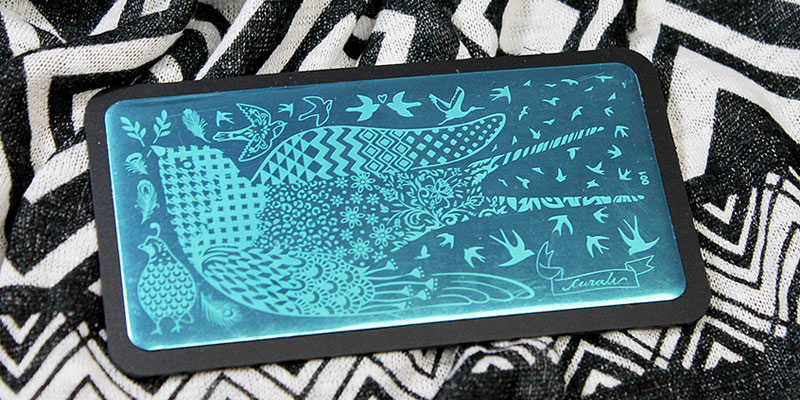 Placas de estampación para uñas Curali Nail Stamping