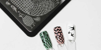 Placas de estampación para uñas Curali Nail Stamping