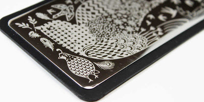Placas de estampación para uñas Curali Nail Stamping