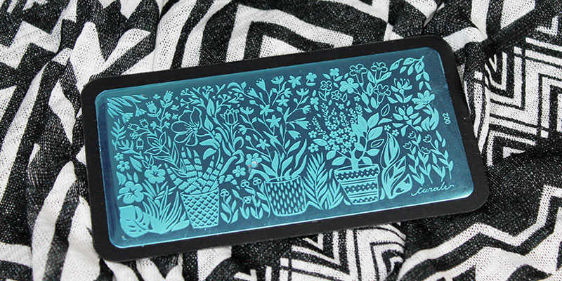 Comprar online placasd ee stampación Stamping Nail Art